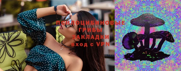 спайс Алексин