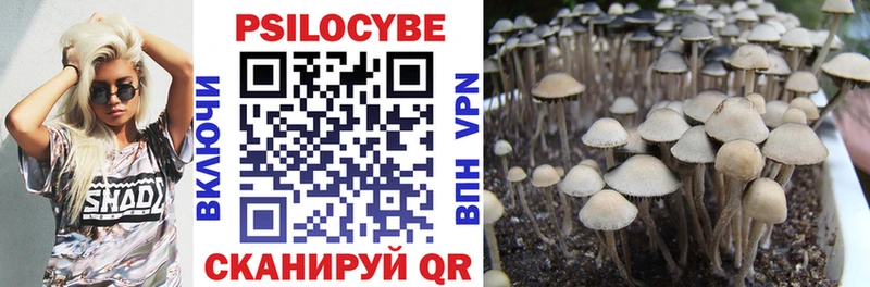 Псилоцибиновые грибы мухоморы Мегион